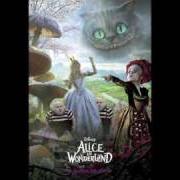 Le texte musical IN TRANSIT de MARK HOPPUS & PETE WENTZ est également présent dans l'album Alice in wonderland (soundtrack)