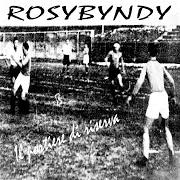 Le texte musical QUESTIONE D'ABITUDINE. de ROSYBYNDY est également présent dans l'album Il portiere di riserva (2005)