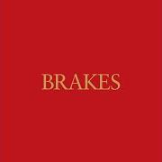 Le texte musical HI HOW ARE YOU de BRAKES est également présent dans l'album Give blood (2005)