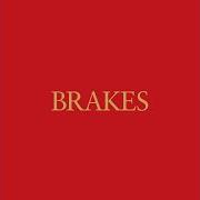 Le texte musical I CAN'T STAND TO STAND BESIDE YOU de BRAKES est également présent dans l'album Give blood (2005)