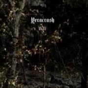 Le texte musical MISEDUCATION de VERACRASH est également présent dans l'album 11:11 (2009)