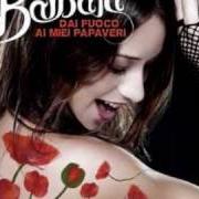 Le texte musical TENTAMI de BARBARA MONTE est également présent dans l'album Dai fuoco ai miei papaveri (2008)