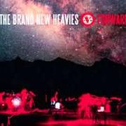 Le texte musical ADDICTED de BRAND NEW HEAVIES est également présent dans l'album Forward (2013)