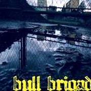 Le texte musical BIRRA de BULL BRIGADE est également présent dans l'album Strade smarrite (2008)