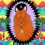 Le texte musical TAKE ON THE WORLD de WAVVES est également présent dans l'album King of the beach (2010)