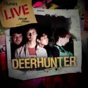 Le texte musical DISAPPEARING INK de DEERHUNTER est également présent dans l'album Rainwater cassette exchange (2009)