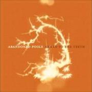 Le texte musical HUNTING (THE UNIVERSE BREAKS MY HEART) de ABANDONED POOLS est également présent dans l'album Armed to the teeth (2005)