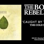 Le texte musical THE RUNNER de THE BOXER REBELLION est également présent dans l'album The cold still (2011)