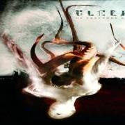 Le texte musical THE COMING OF GENOCIDE de ULCERATE est également présent dans l'album Of fracture and failure (2007)
