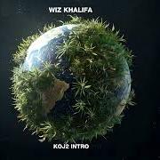 Le texte musical JET TAYLOR de WIZ KHALIFA est également présent dans l'album Kush + orange juice 2 (2025)