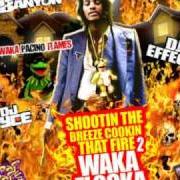 Le texte musical DAMN de WAKA FLOCKA FLAME est également présent dans l'album Shootin' the breeze cookin' that fire (2009)