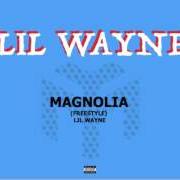 Le texte musical MAGNOLIA de LIL' WAYNE est également présent dans l'album In tune we trust (2017)