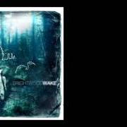 Le texte musical WAKE de BRIGHTWOOD est également présent dans l'album Wake (2008)