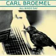 Le texte musical SUNDAY DRIVERS de CARL BROEMEL est également présent dans l'album All birds say (2010)