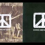 Le texte musical MY KINDA GIRL de CHICKENFOOT est également présent dans l'album Lv (2012)