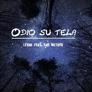 Le texte musical MASCHERE CHE PIANGONO de ODIO SU TELA est également présent dans l'album Odio su tela - ep (2006)