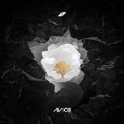 Le texte musical YOU BE LOVE de AVICII est également présent dans l'album Avici (01) (2017)