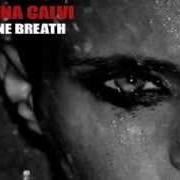 Le texte musical CRY de ANNA CALVI est également présent dans l'album One breath (2013)