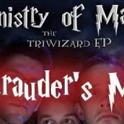 Le texte musical PENSIEVE DIGGORY de MINISTRY OF MAGIC est également présent dans l'album The triwizard lp