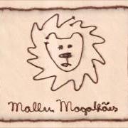Le texte musical HIGHLY SENSITIVE de MALLU MAGALHÃES est également présent dans l'album Pitanga (2011)