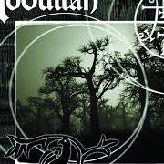 Le texte musical THE WHIMPER OF WHIPPED DOGS de ABDULLAH est également présent dans l'album Graveyard poetry (2002)