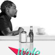 Le texte musical THE SUMMER LEAGUE de WALE est également présent dans l'album The album about nothing (2015)