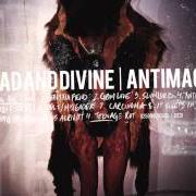 Le texte musical SLUMLORD de DEAD AND DIVINE est également présent dans l'album Antimacy (2011)