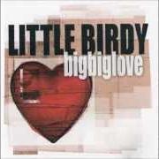 Le texte musical SHELTER de BIRDY est également présent dans l'album Birdy
