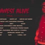 Le texte musical $ERVIN DAT RAW de TYGA est également présent dans l'album Rawwest alive (2016)