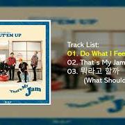 Le texte musical DO WHAT I FEEL de B.A.P est également présent dans l'album Put'em up (2016)