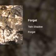 Le texte musical SLOW de TWIN SHADOW est également présent dans l'album Forget (2010)