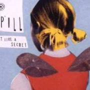 Le texte musical TIME TRAP de BUILT TO SPILL est également présent dans l'album Keep it like a secret (1999)