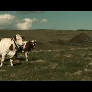 L'amour sera toujours dans nos prés