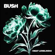 I beat loneliness