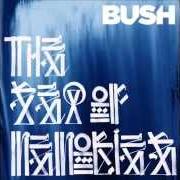 Le texte musical THE SOUND OF WINTER de BUSH est également présent dans l'album The sea of memories (2011)