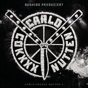 Le texte musical YO, PEACE MAN! de BUSHIDO est également présent dans l'album Carlo cokxxx nutten (fler) (2021)