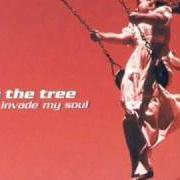 Le texte musical THERE FOR ME de BY THE TREE est également présent dans l'album Invade my soul (2001)