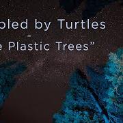 Le texte musical FAKE PLASTIC TREES de TRAMPLED BY TURTLES est également présent dans l'album Sigourney fever (2019)
