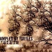 Le texte musical WHITE NOISE de TRAMPLED BY TURTLES est également présent dans l'album Duluth (2010)