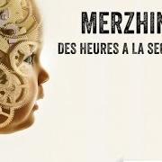 Le texte musical DANS MA PEAU de MERZHIN est également présent dans l'album Des heures a la seconde (2014)
