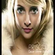 Le texte musical MA PLACE AU SOLEIL de PRISCILLA est également présent dans l'album Casse comme du verre (2007)