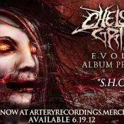 Le texte musical LILITH de CHELSEA GRIN est également présent dans l'album Evolve (2012)