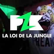 La loi de la jungle