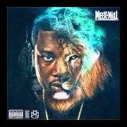 Le texte musical FA SHO de MEEK MILL est également présent dans l'album Dream chaser v (2016)