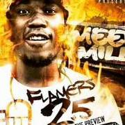 Le texte musical RUN THIS TOWN de MEEK MILL est également présent dans l'album Flamers 2.5: the preview - mixtape (2009)