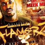 Le texte musical IN MY BAG REMIX de MEEK MILL est également présent dans l'album Nothing but flamerz (2010)