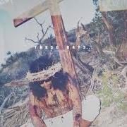 Le texte musical STIGMATA de AB-SOUL est également présent dans l'album These days... (2014)