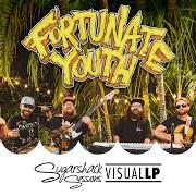 Le texte musical RUN TO AFTER de FORTUNATE YOUTH est également présent dans l'album Live life (2019)