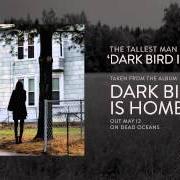 Le texte musical TIMOTHY de THE TALLEST MAN ON EARTH est également présent dans l'album Dark bird is home (2015)