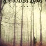 Le texte musical SEHNSUCHT VERSUS LEBEN de MONDSTILLE est également présent dans l'album Seelenwund (2012)